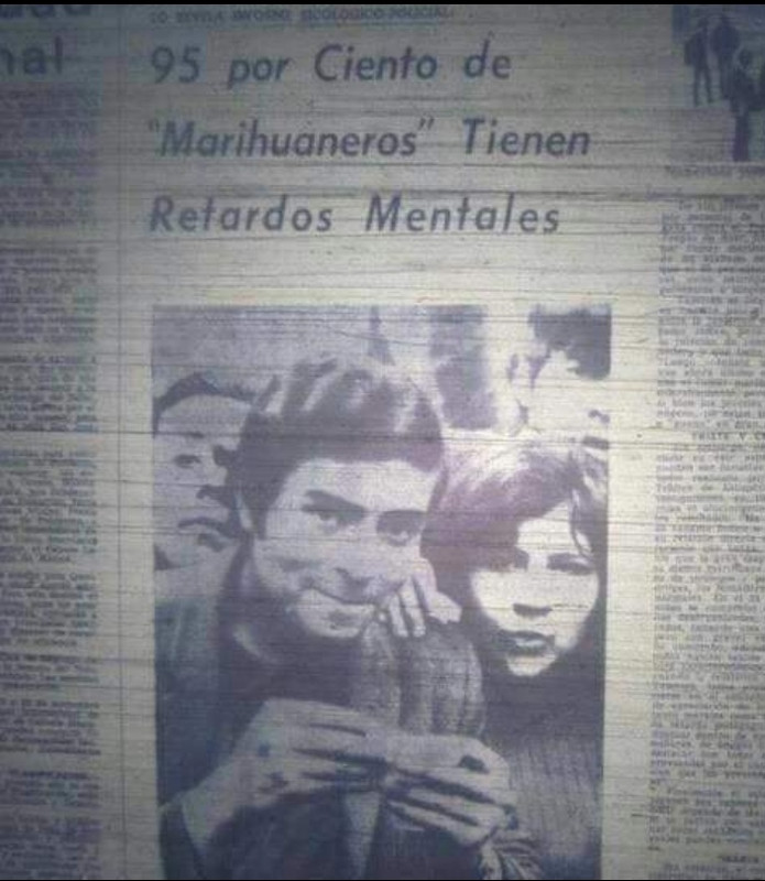El 95% de los consumidores de marihuana tienen retraso mental.