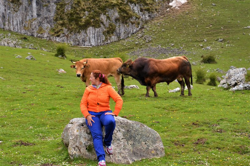 PICOS DE EUROPA-16-5-2013-LEON/ASTURIAS/CANTABRIA - Paseando por España-1991/2016 (15)