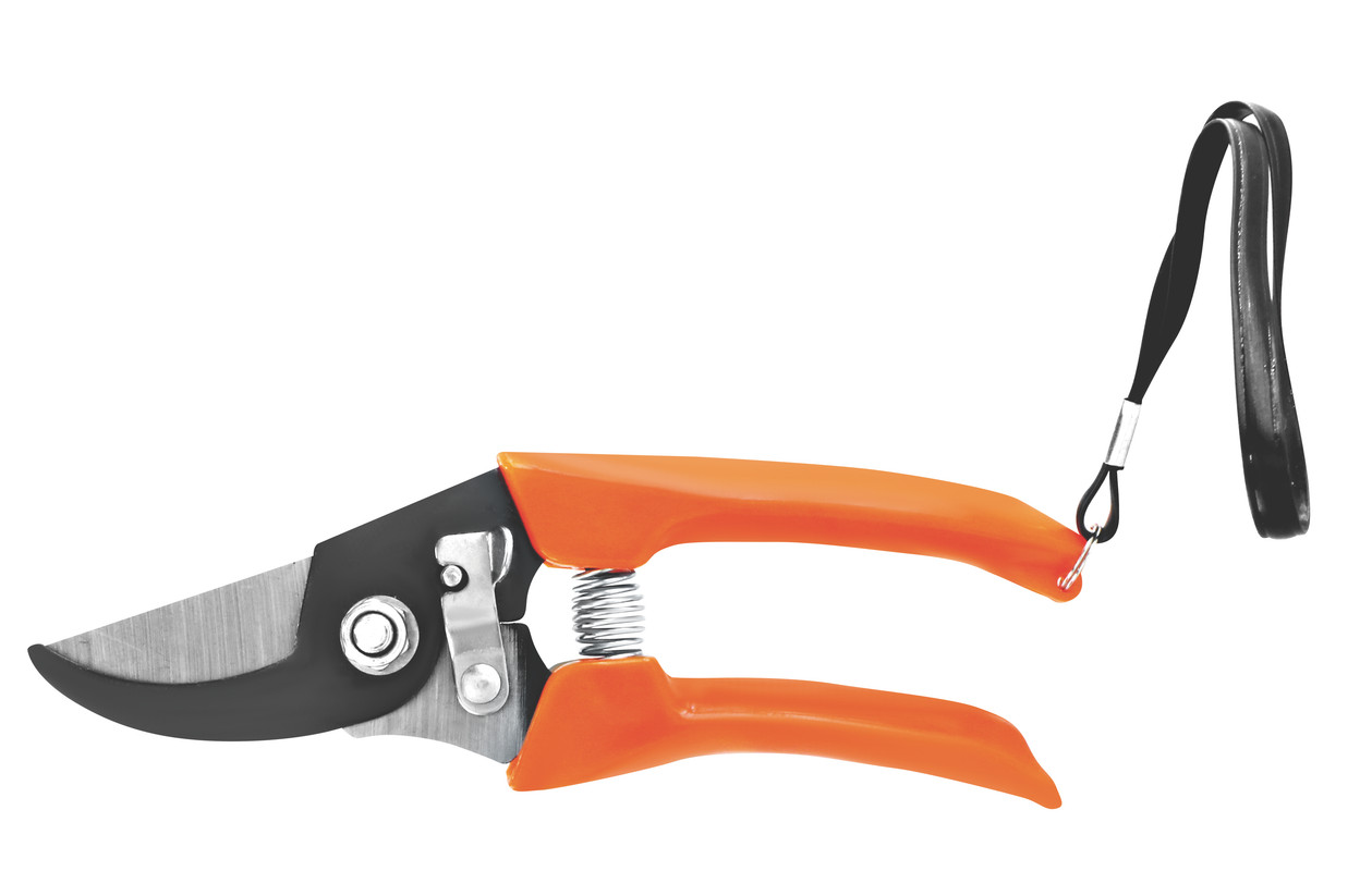 TIJERA PARA PODAR UVA MANGO PLASTICO 7" 180MM ASAKI
