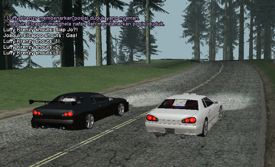 SS-Rp-2.png