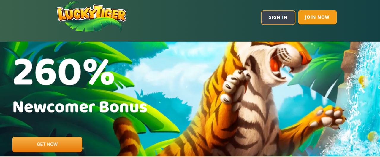 Lucky Tiger Casino Bonuses