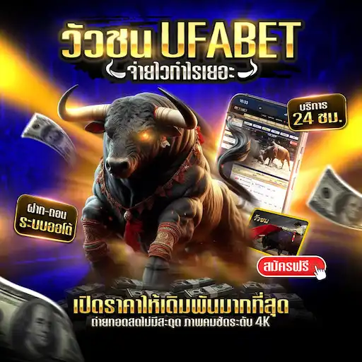 ผลวัวชนล่าสุด
