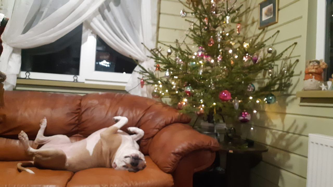 541711EA-D0FB-4274-B0B9-248614A3E268