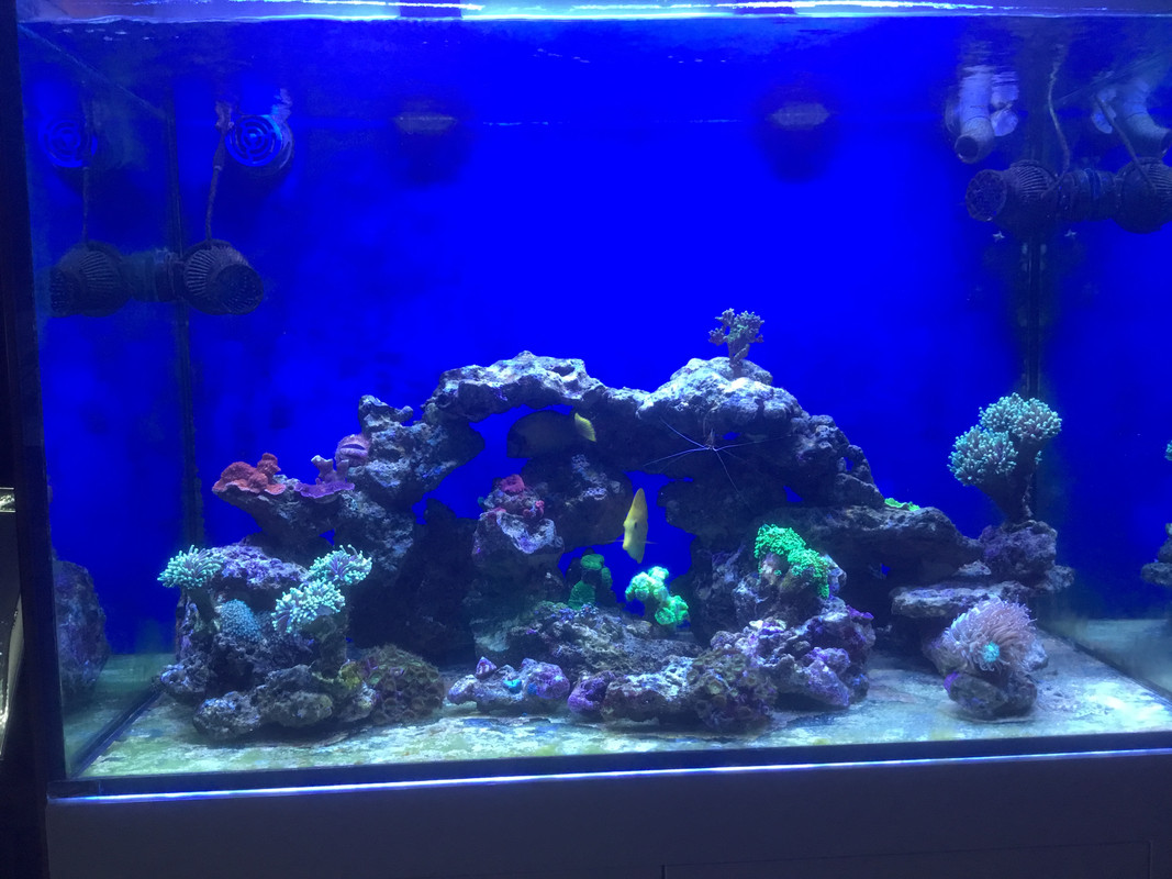 0259E196-6003-49AE-9BD0-B500F93E7CD5