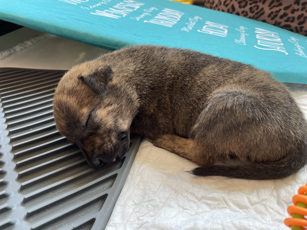 051D209A-75EA-4D0E-91F3-A217CBB49F50