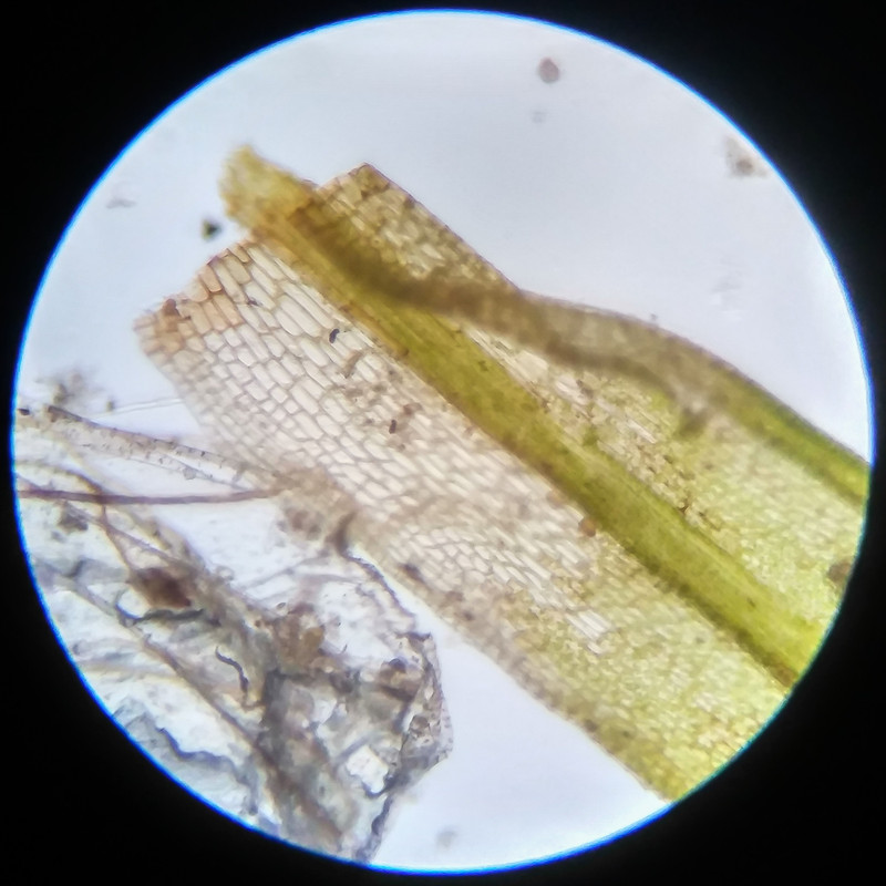 IMG 20250617 123618 HDR