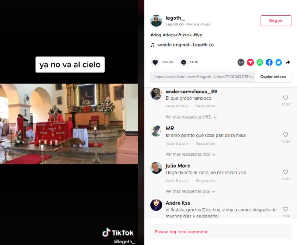 Perrito se roba el pan de la misa y ahora es famoso en internet