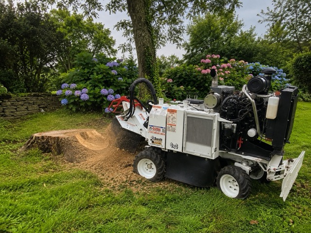 Rogneuses de souche professionnelles Bandit SG-40W et Vermeer SC30TX utilisées par Dessouchage Bretagne