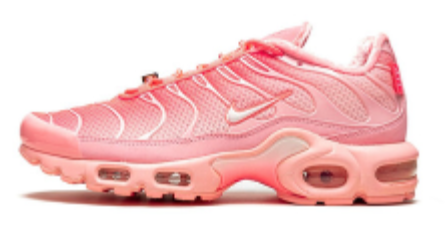 Nike Air Max Plus TN