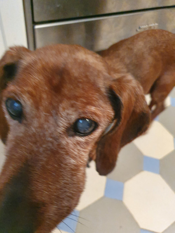 [Image: 20220510-103404.jpg]