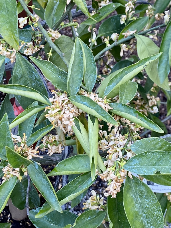 162D2CC6-C489-4ECE-B52B-F611147BAA44