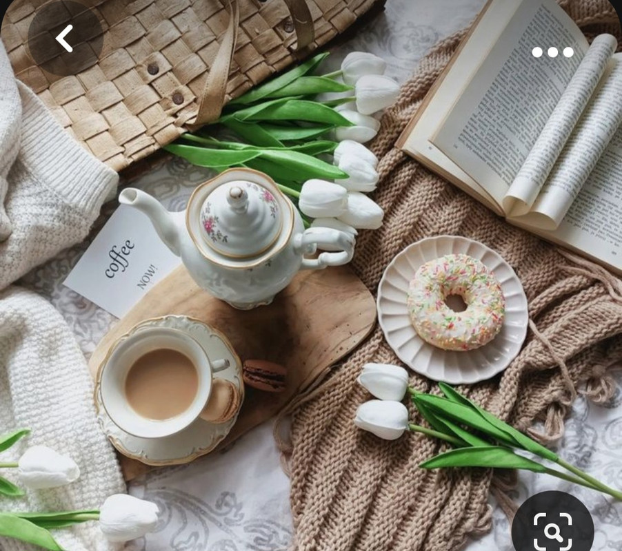 Screenshot_20231031_214135_Pinterest