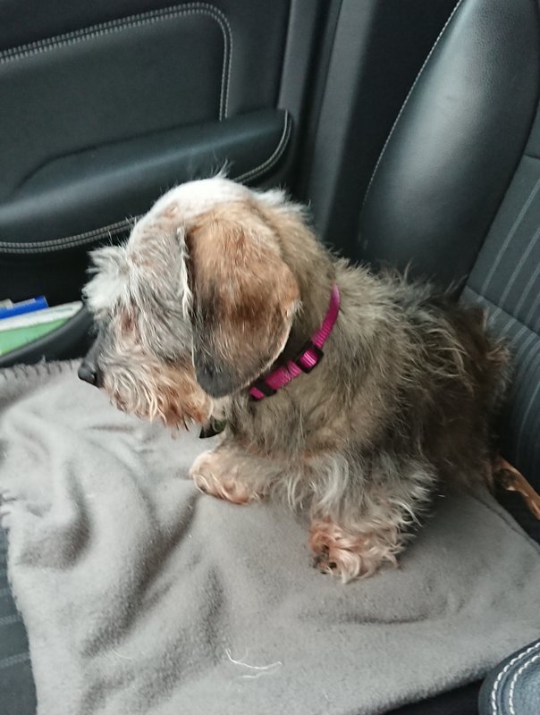 [Image: 20240220-182231.jpg]