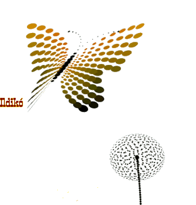 anim_20_név_Ildikó_forog