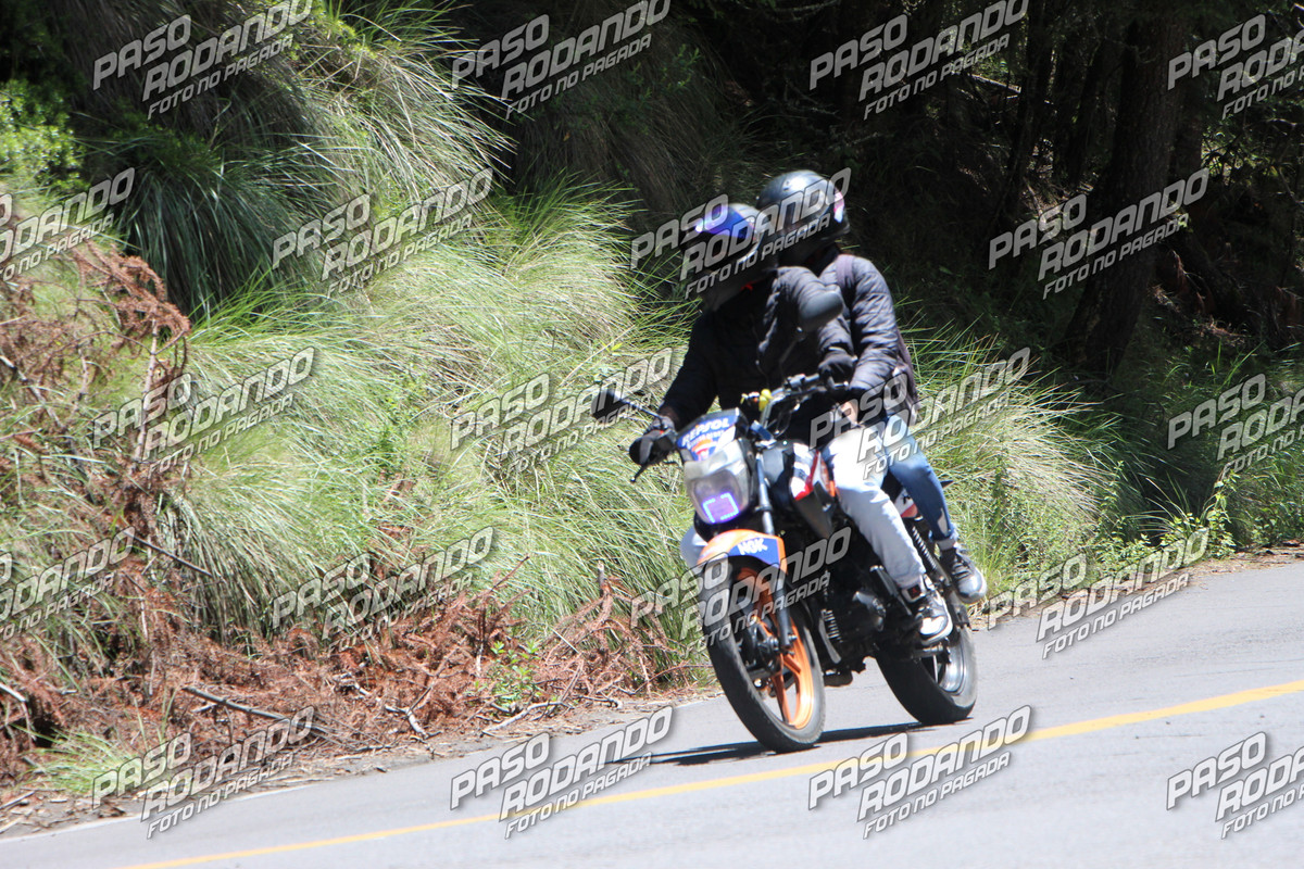 IMG 1893 wm 92168 watermarked — Postimages