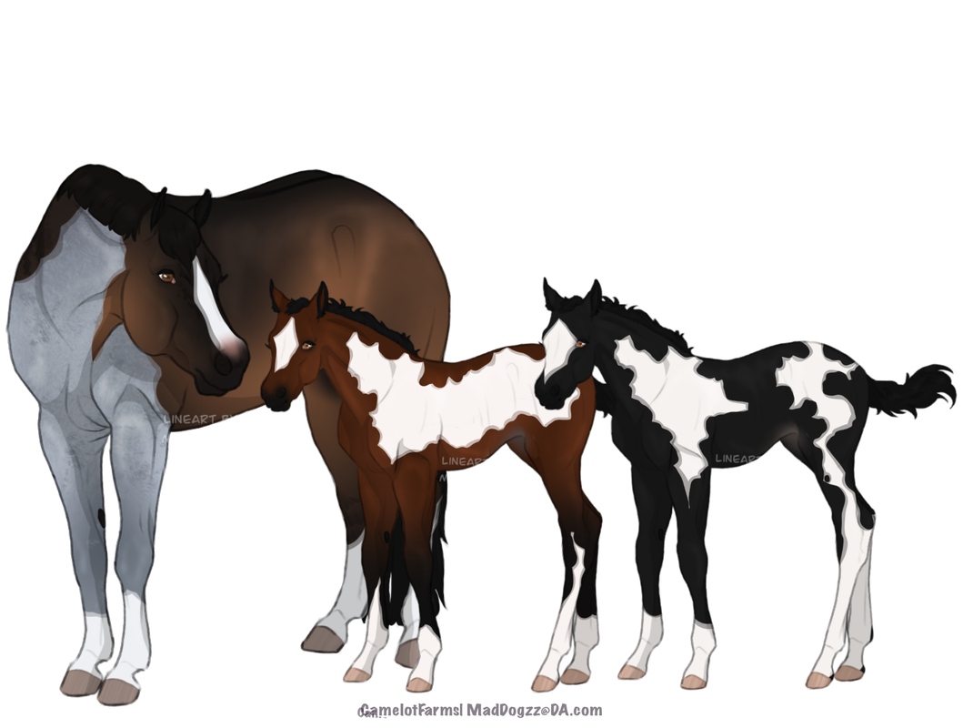 DF6A9F5A-76E8-4891-9BBA-C3FBC2CFA20B