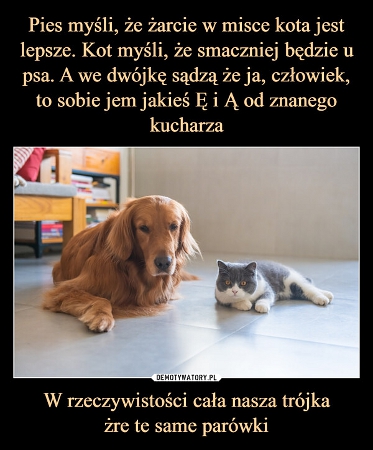 humor.jpg
