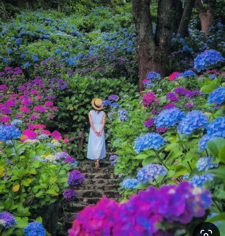 Screenshot_20240609_205416_Pinterest