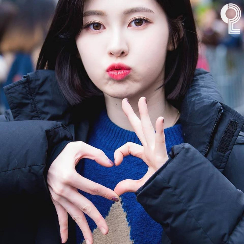 57623828-2339367746167281-28996713207719