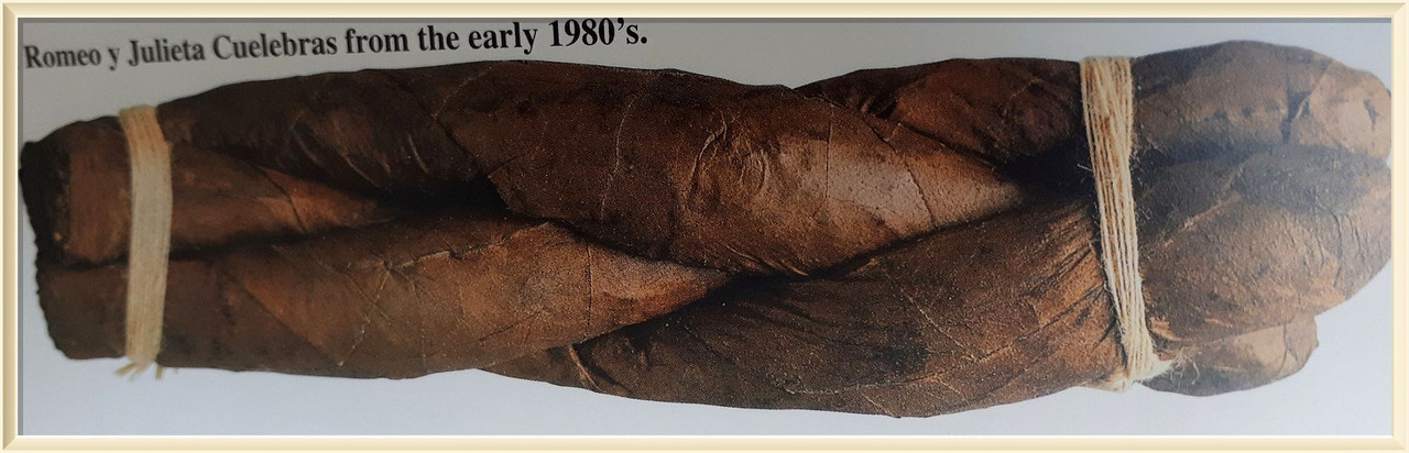 49131326627_5ffb1bf139_o