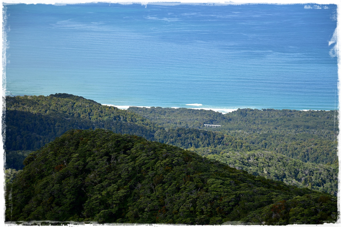 Escapadas y rutas por la Nueva Zelanda menos conocida - Blogs de Nueva Zelanda - Fiordland NP: Humpridge Track (febrero 2021) (48)