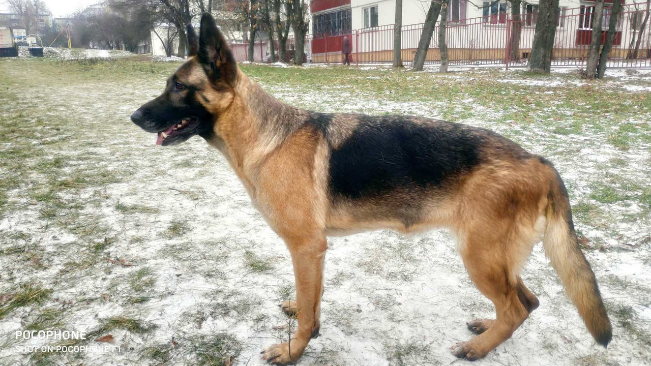 IMG-472a4b9fb7b079d430ea82a3141ff8b2-V