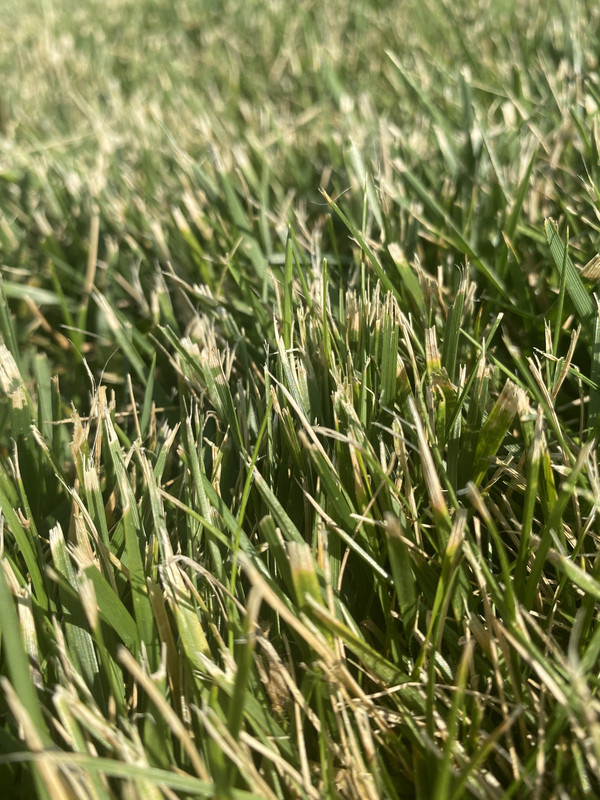 E827AC71-C276-4BDF-B8E3-18864C943B40