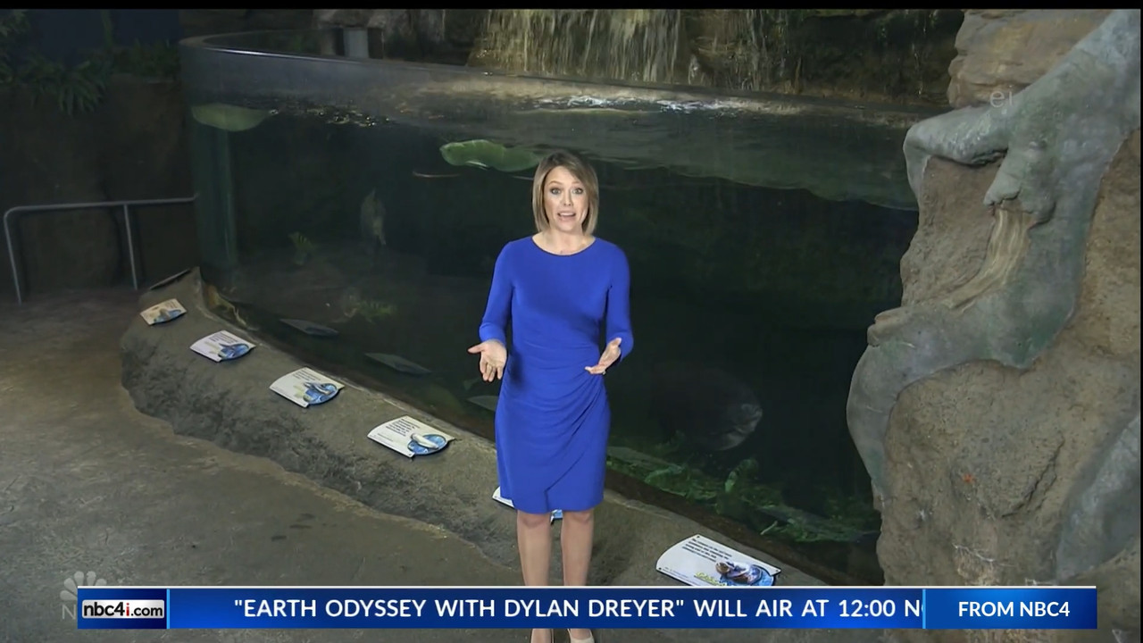 11.07 - 15.00.00 - Earth Odyssey With Dylan Dreyer. The world's smart....ts_snapshot_00.25.03.701
