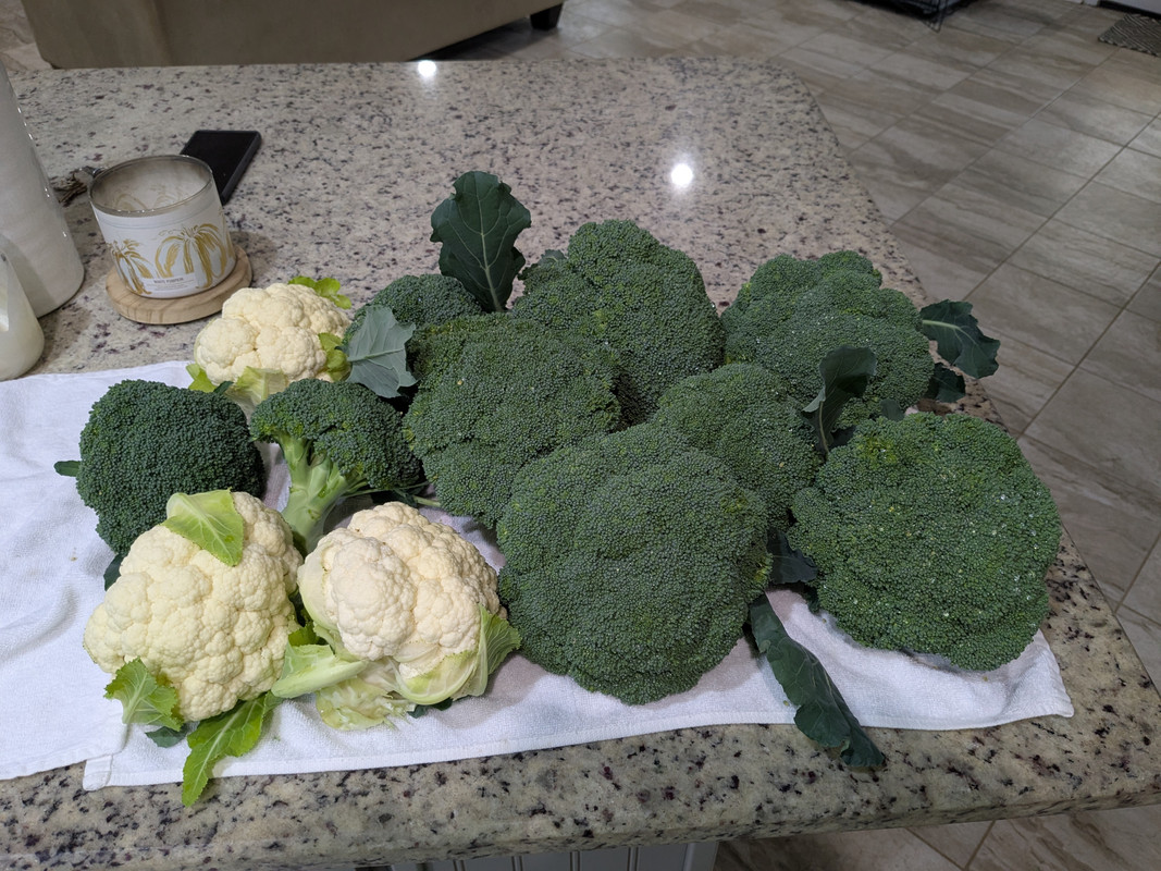 PXL_20250105_181709841