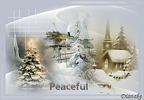 2024-PEACEFUL.png