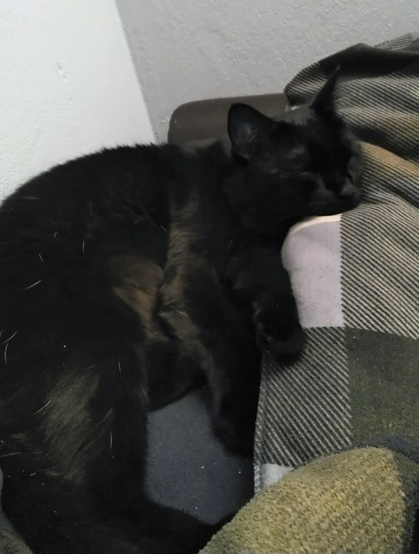 IMG 20251108 202414509 HDR 2