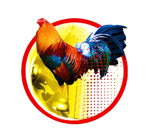 Sabung Ayam SV388
