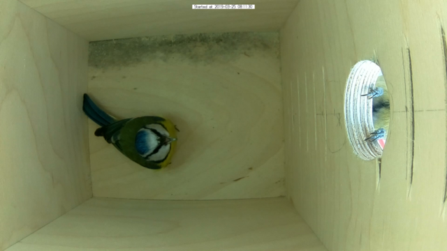 Untitled Project (Time 0_00_21;24)