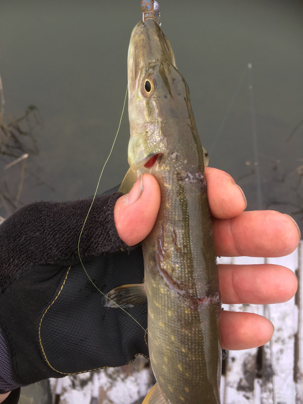 27CB89A9-C505-4FC3-BC09-25307FE9EB0D