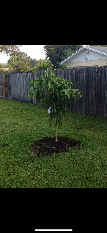 EC7FEE1D-0FA5-4130-A567-74ACABAC1257