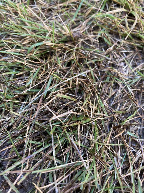 EE028FA0-5292-4E51-84EA-1D601626F222