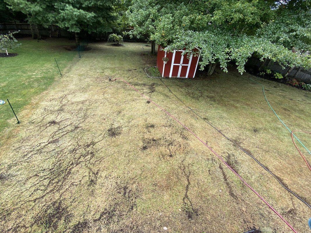 9D84FBC7-F6DE-4AD6-96FE-67D543FFA8A1