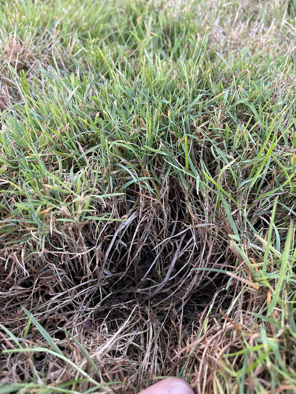 30B9C1EF-6A35-43E8-8F88-E9254774C0EC