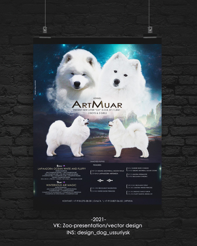 Poster-Dark-by-Don-Designсам