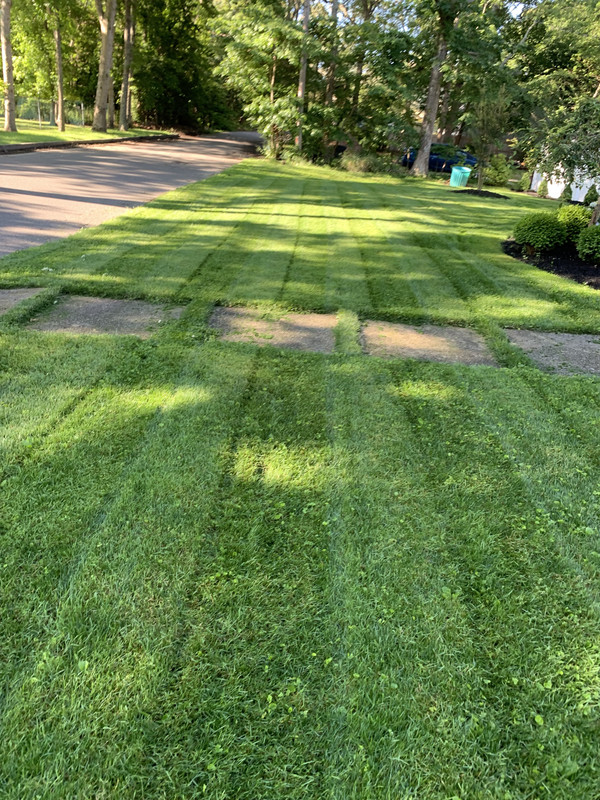 B3E33535-CE3E-45D9-BA93-068B29B9AD7C