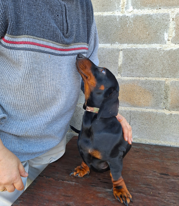 [Image: 20231220-123405.jpg]