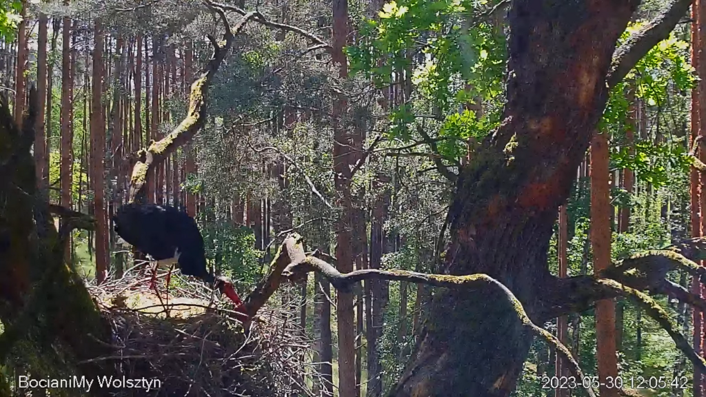 Zrzut ekranu (15885)