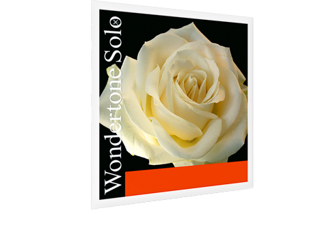 Pirastro Wondertone Solo - струни для скрипки