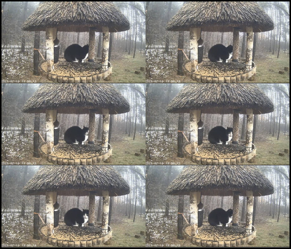 ZDZISŁAW   18.02.21