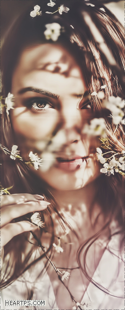 ���� ���� ������ �� ���� ������