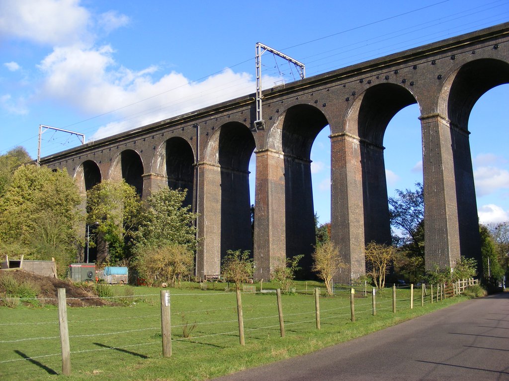 DSCF0581.jpg
