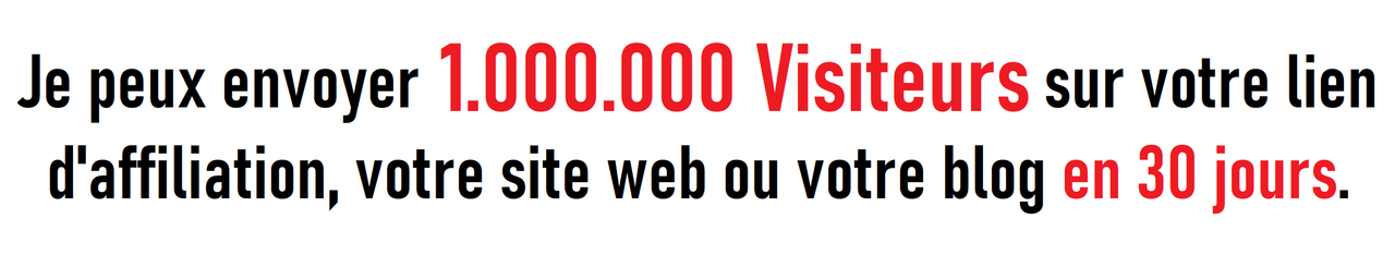 Je peux envoyer 1.000.000 de visiteurs sur votre lien d'affiliation, votre site web ou votre blog en 30 jours.