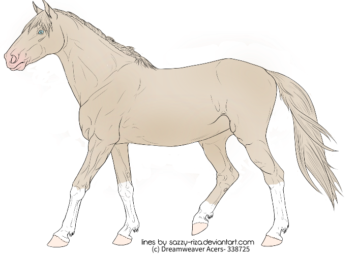 Drawing-1-sketchpad-7.png