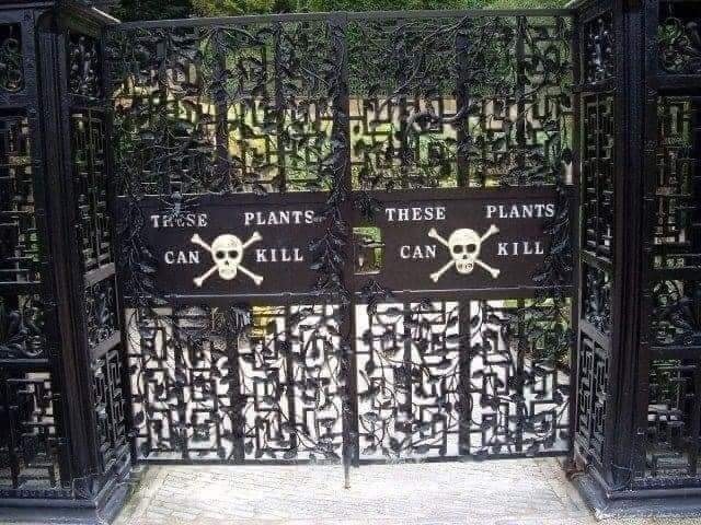 foto-The-Poison-Garden2