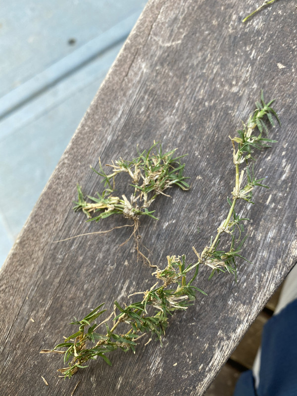 A9EFAFE1-3A28-4B1E-B88C-302CE19578C3